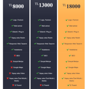 Web sitesi tasarımı